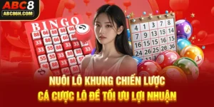 Nuôi Lô Khung Chiến Lược Cá Cược Lô Đề Tối Ưu Lợi Nhuận